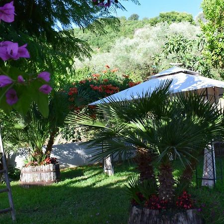 Agriturismo Il Marchese Aquara Dış mekan fotoğraf