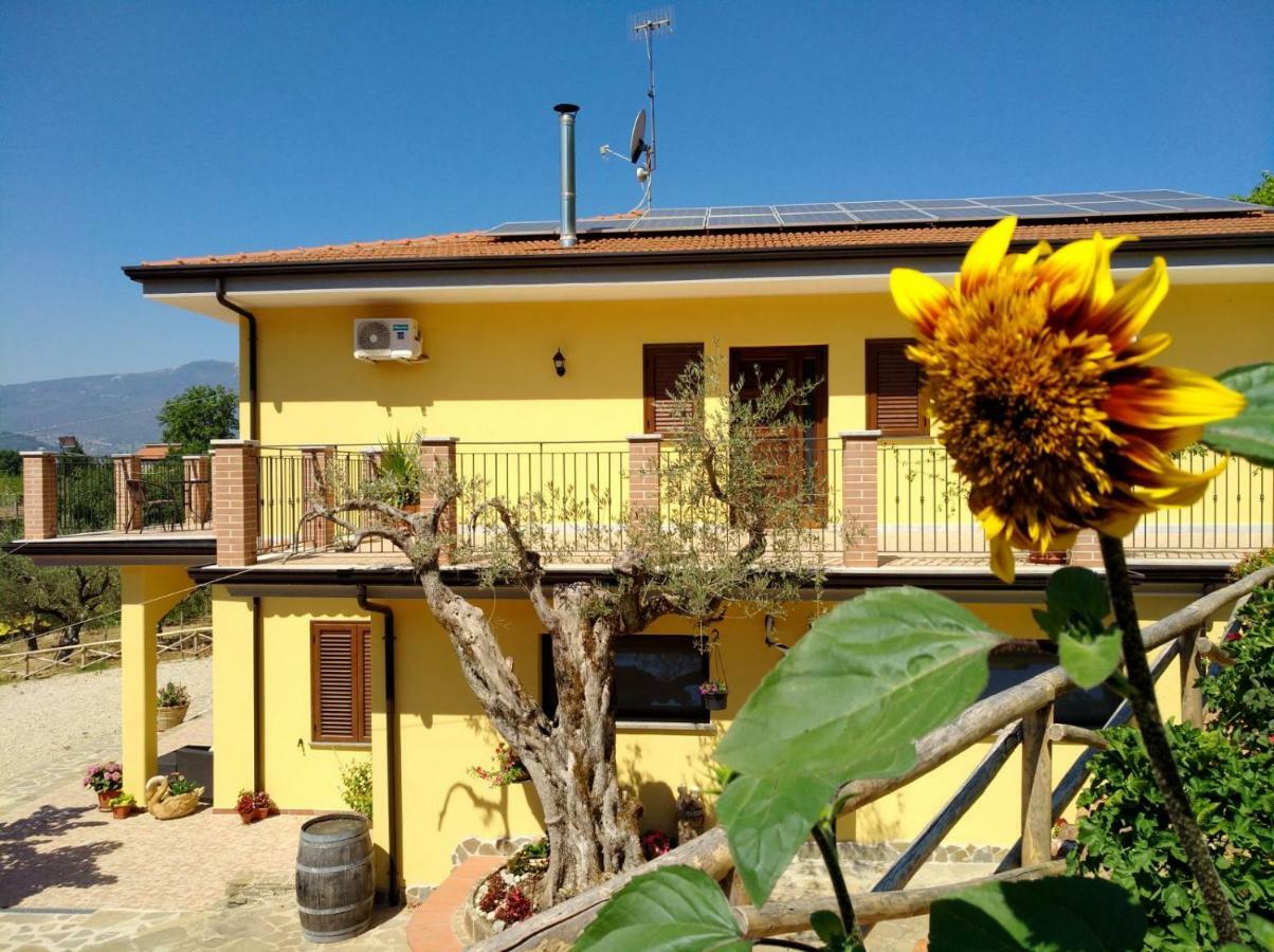 Agriturismo Il Marchese Aquara Dış mekan fotoğraf